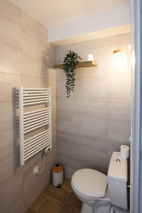 Chartres - Le Saint Pierre Appartement Buitenkant foto