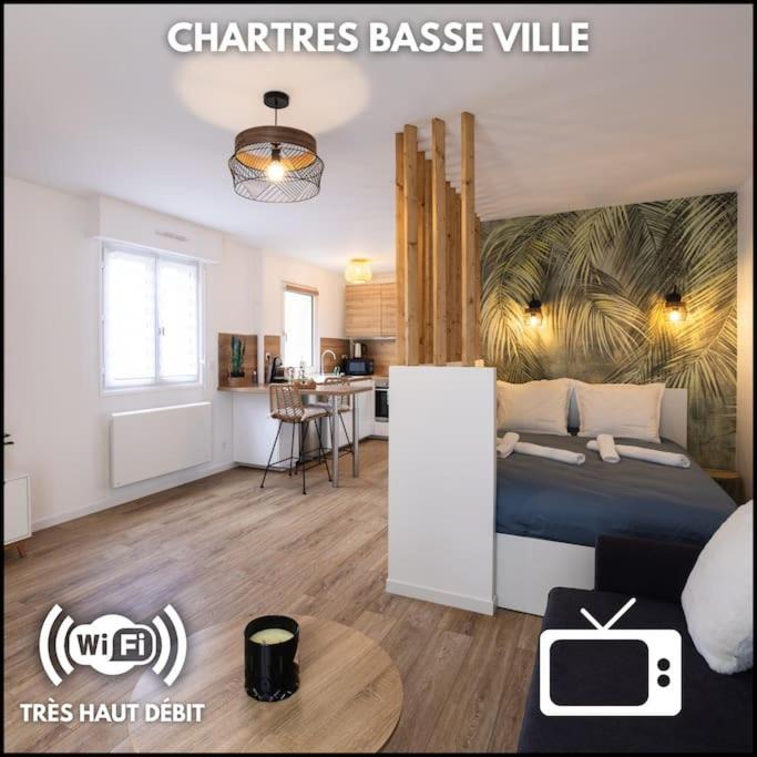 Chartres - Le Saint Pierre Appartement Buitenkant foto
